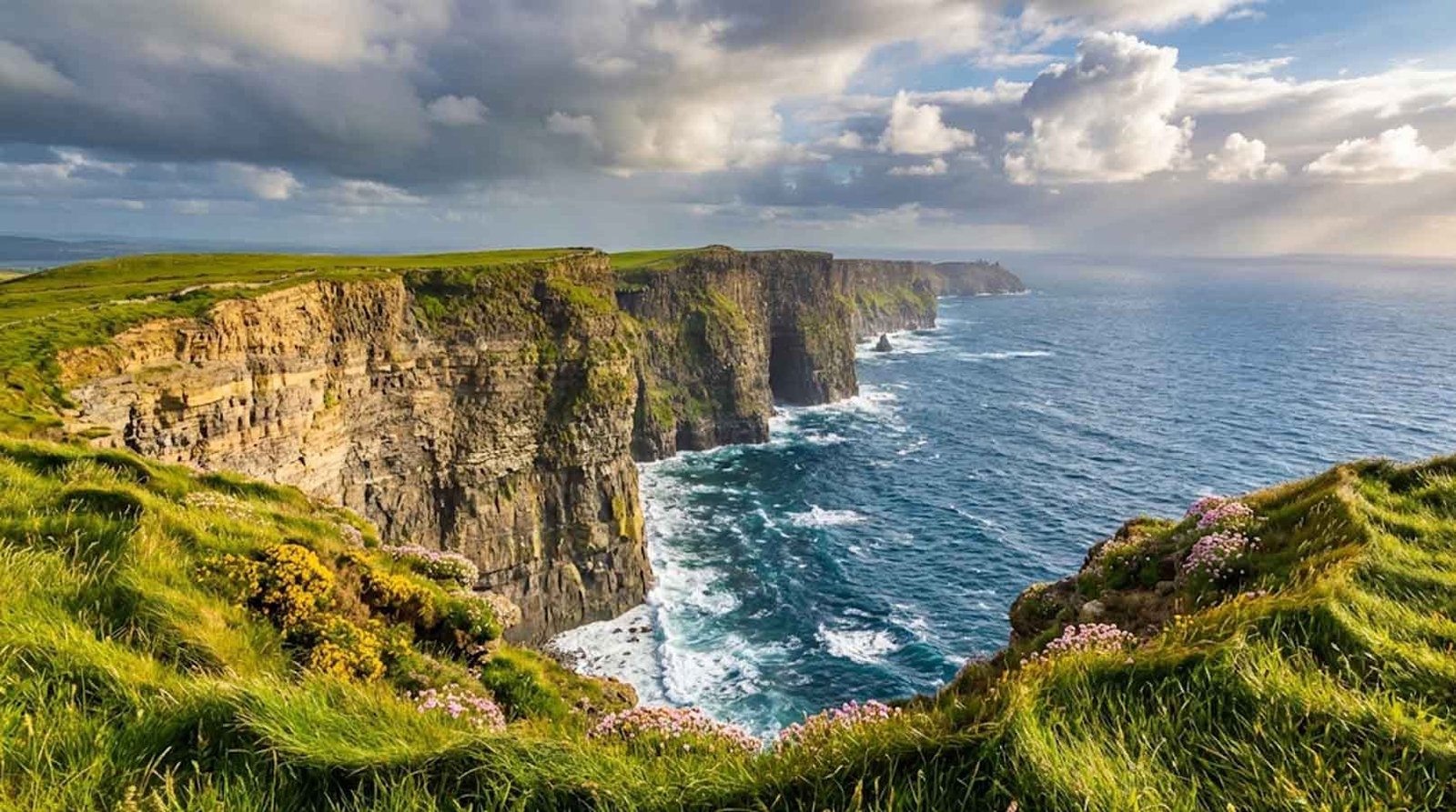 Dramatic cliff coastline aerial reference photo