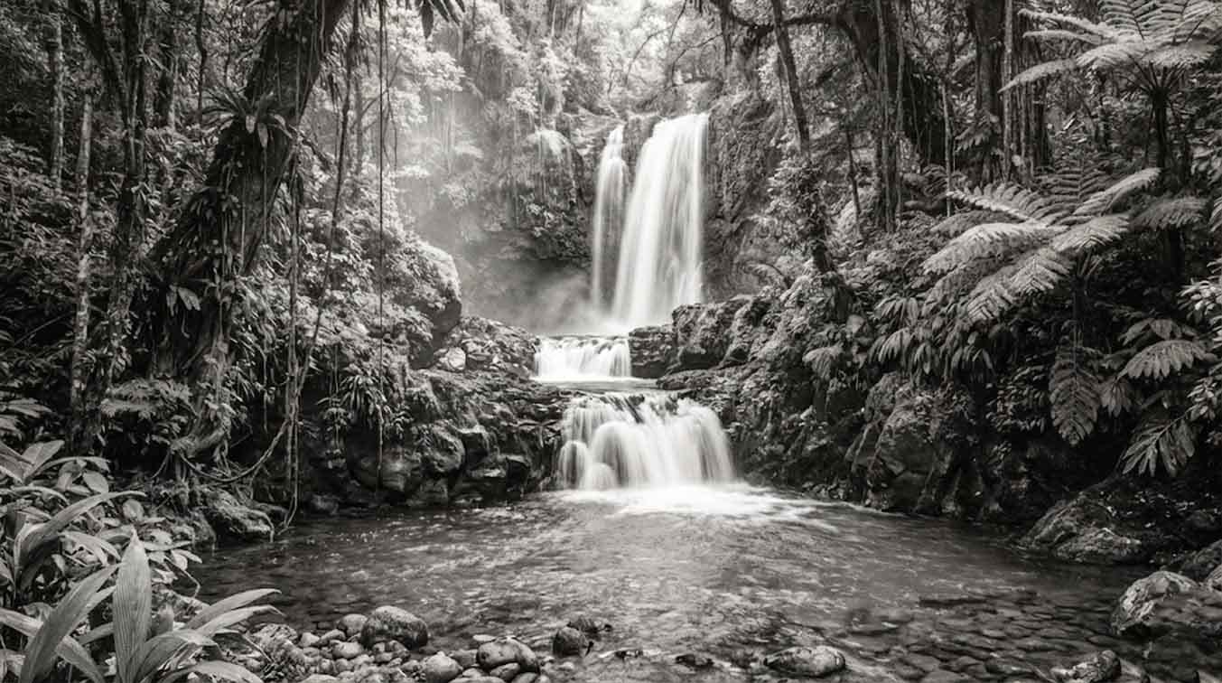 Landscape composition after using golden ratio grid